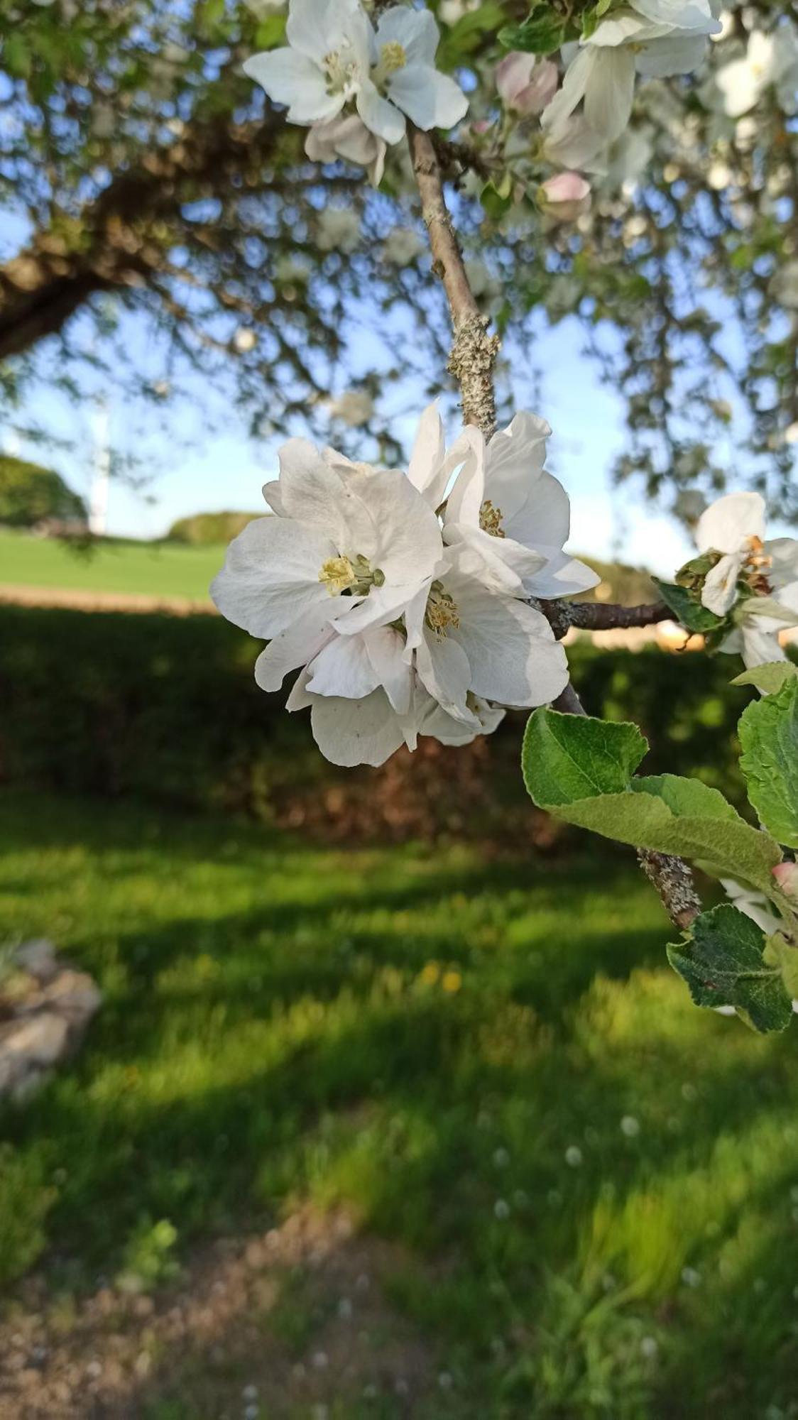 Ferienhaus Forstblick Betzenstein Eksteriør billede