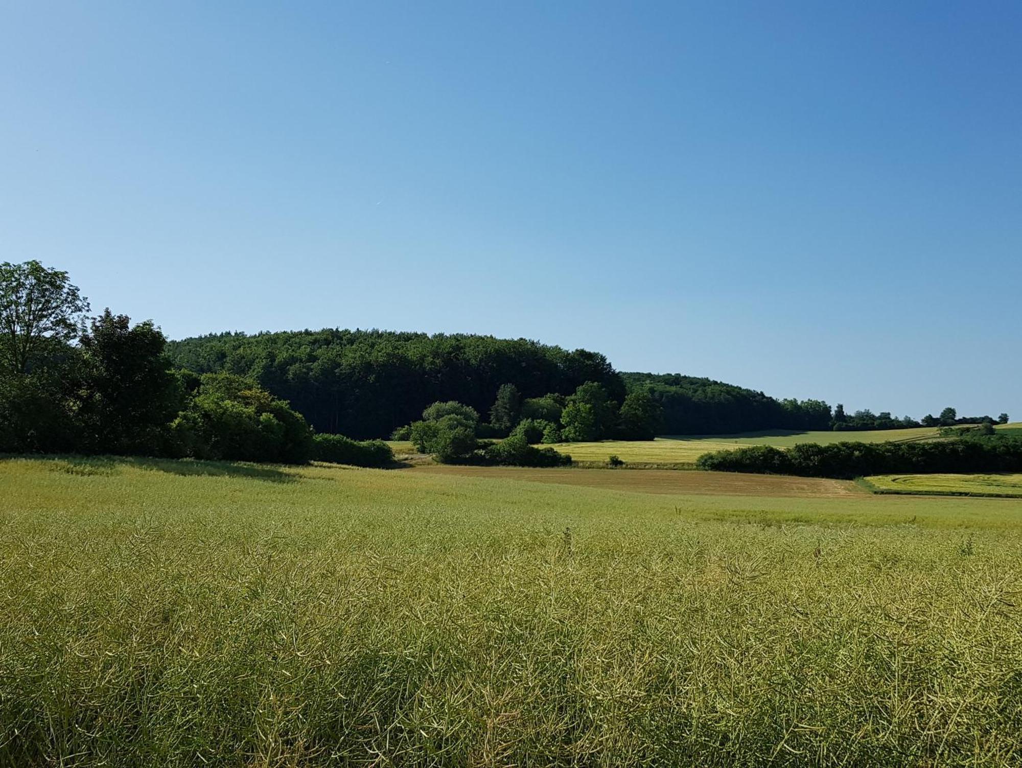 Ferienhaus Forstblick Betzenstein Eksteriør billede