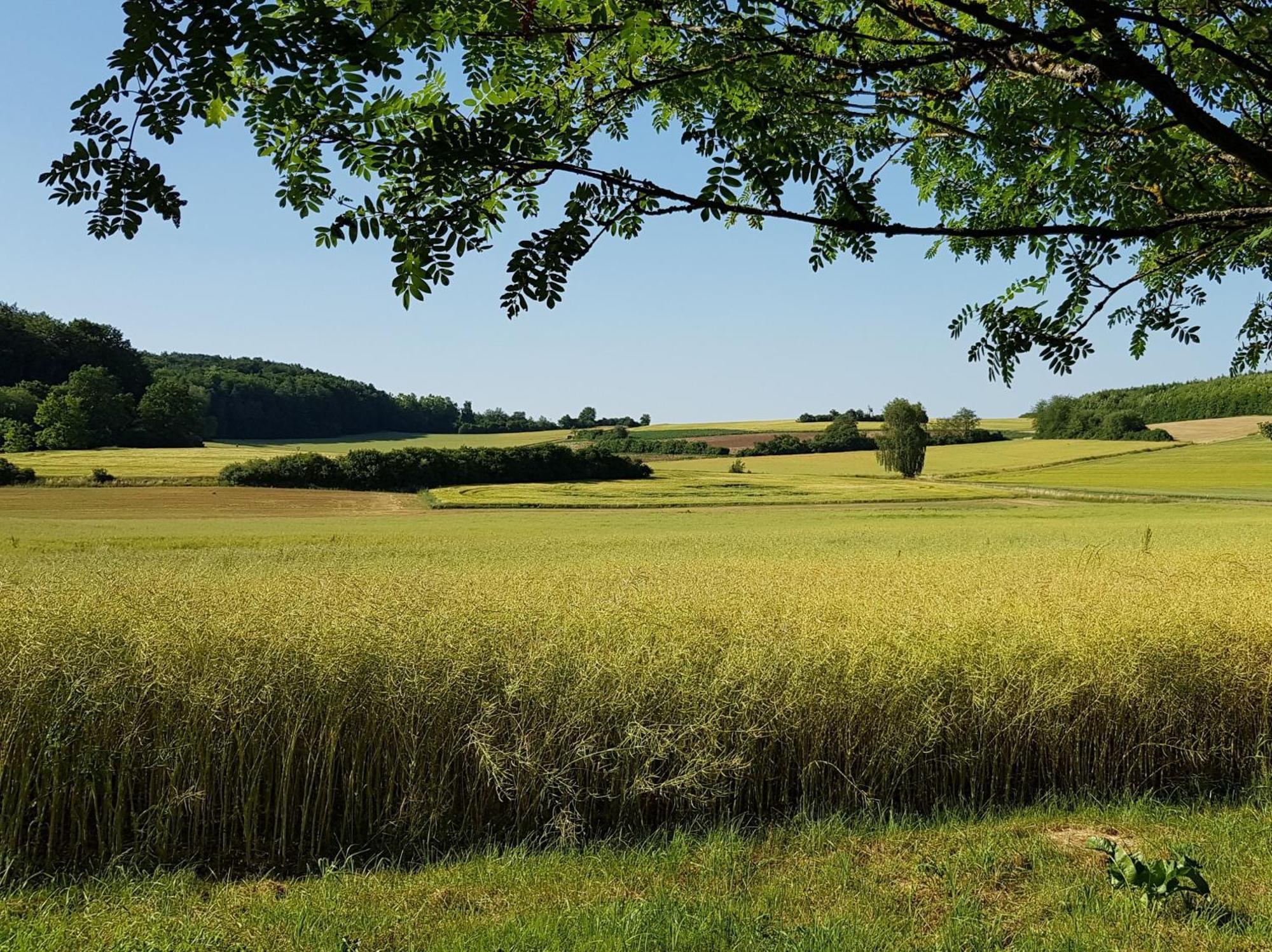 Ferienhaus Forstblick Betzenstein Eksteriør billede
