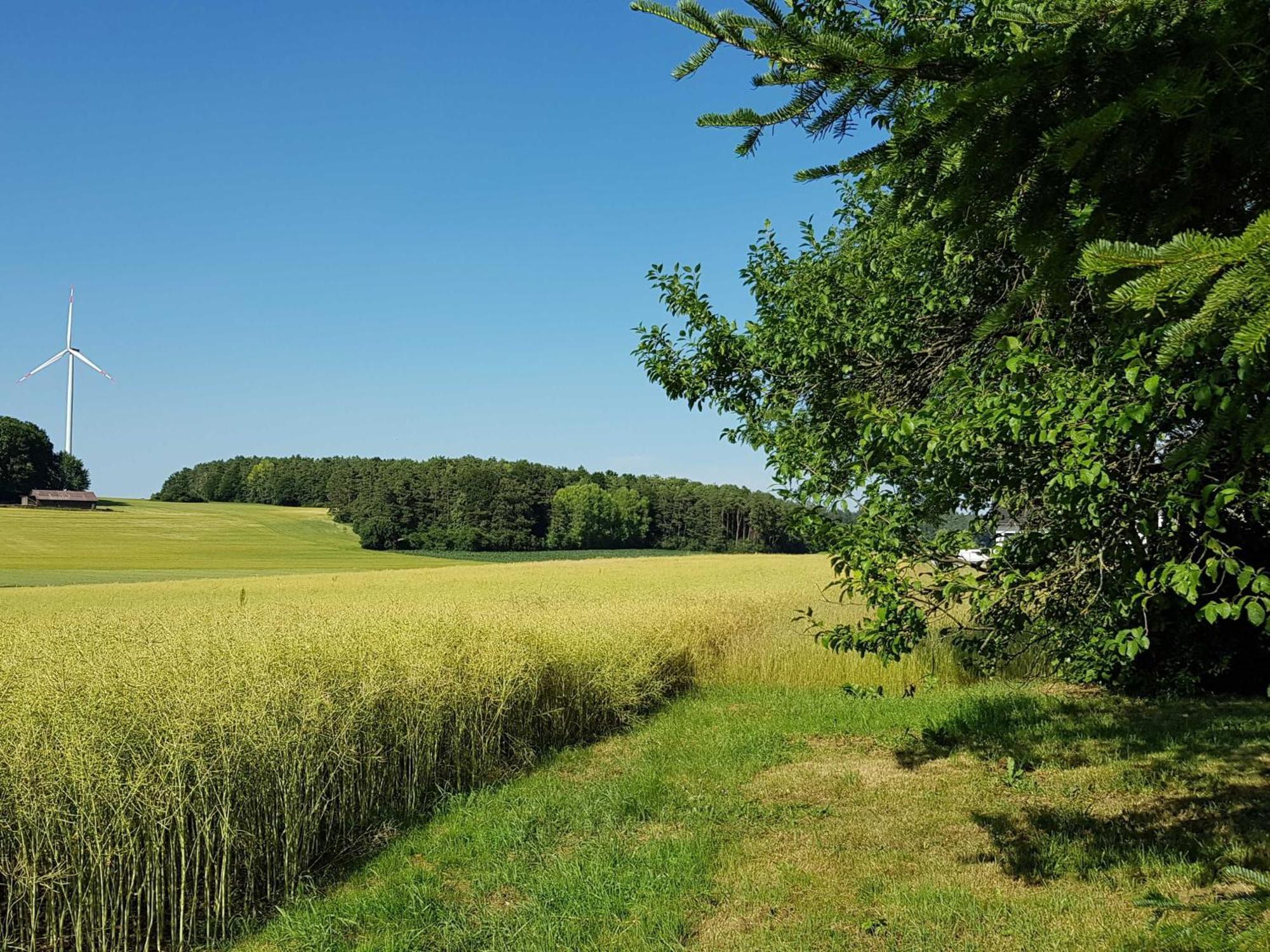 Ferienhaus Forstblick Betzenstein Eksteriør billede