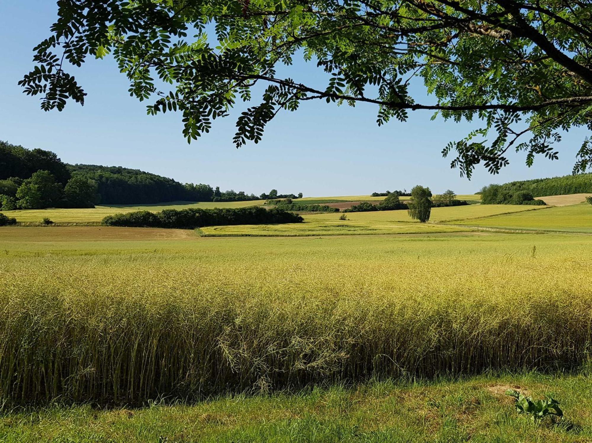 Ferienhaus Forstblick Betzenstein Eksteriør billede